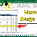 never merge excel cell